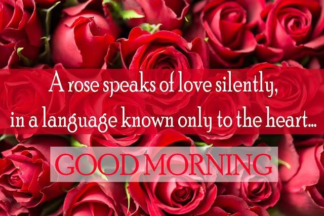 romantic good morning messages for your girlfriend