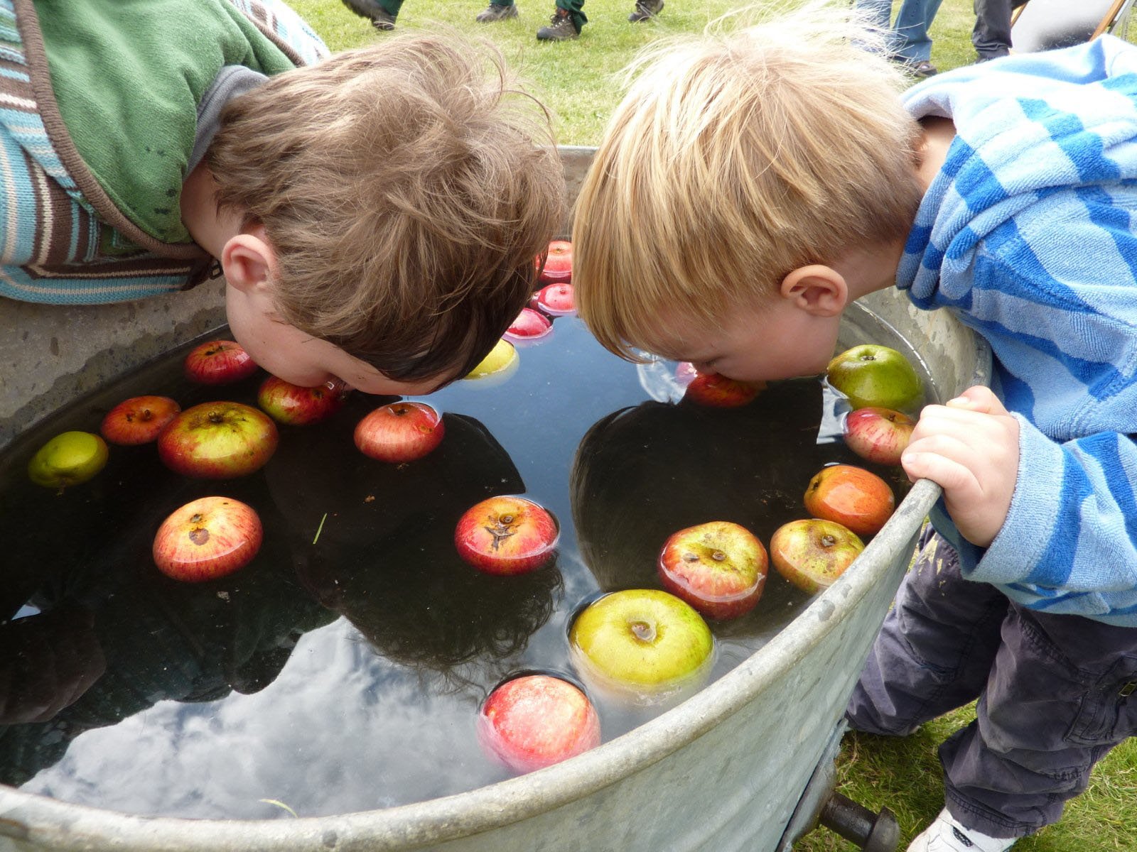 apple bobbing clipart - photo #20