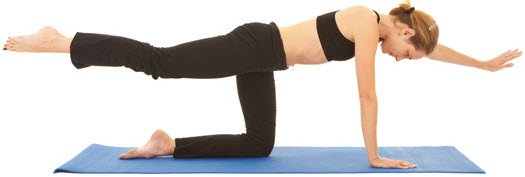 Opposite-Arm-and-Leg-Lift