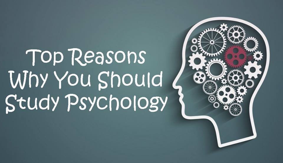 why i chose psychology essay why study psychology pdf